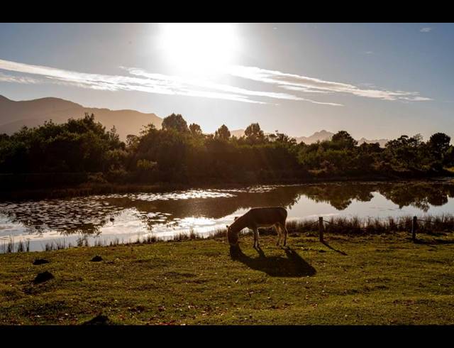 FARM FOR SALE IN THE CRAGS